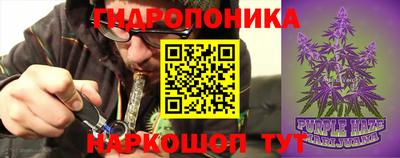 прущие крисы Беслан